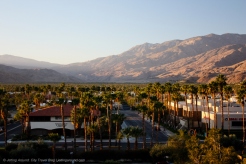 Palm-Springs