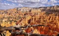Bryce Canyon - UT