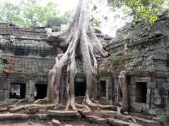 Angkor Wat - TaPhrom Temple