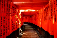 Kyoto - Fushimi-Inari