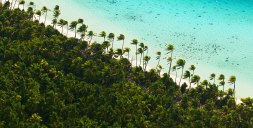 Polinesia Francese - Photo Credit The Brando