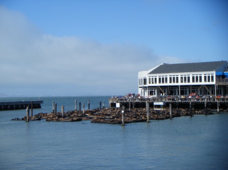 Pier 39 - San Francisco