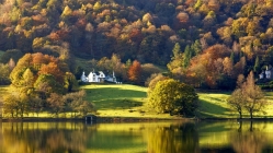 Lake District - Foliage