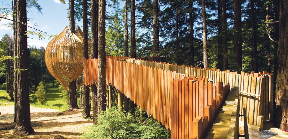 redwoods-treehouse-nuova-zelanda
